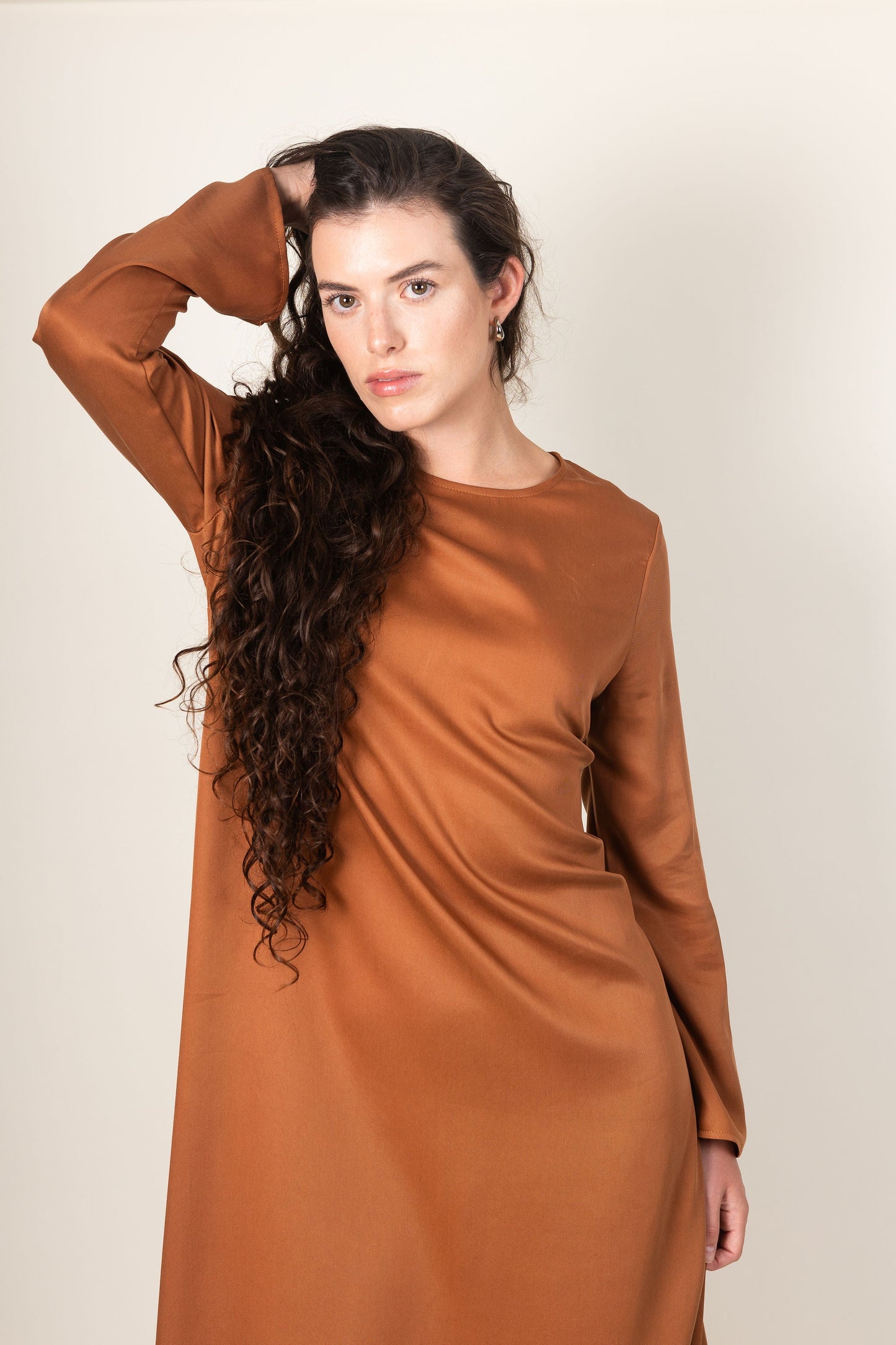 Ames Store Staple Dress in Bronze Winter dress